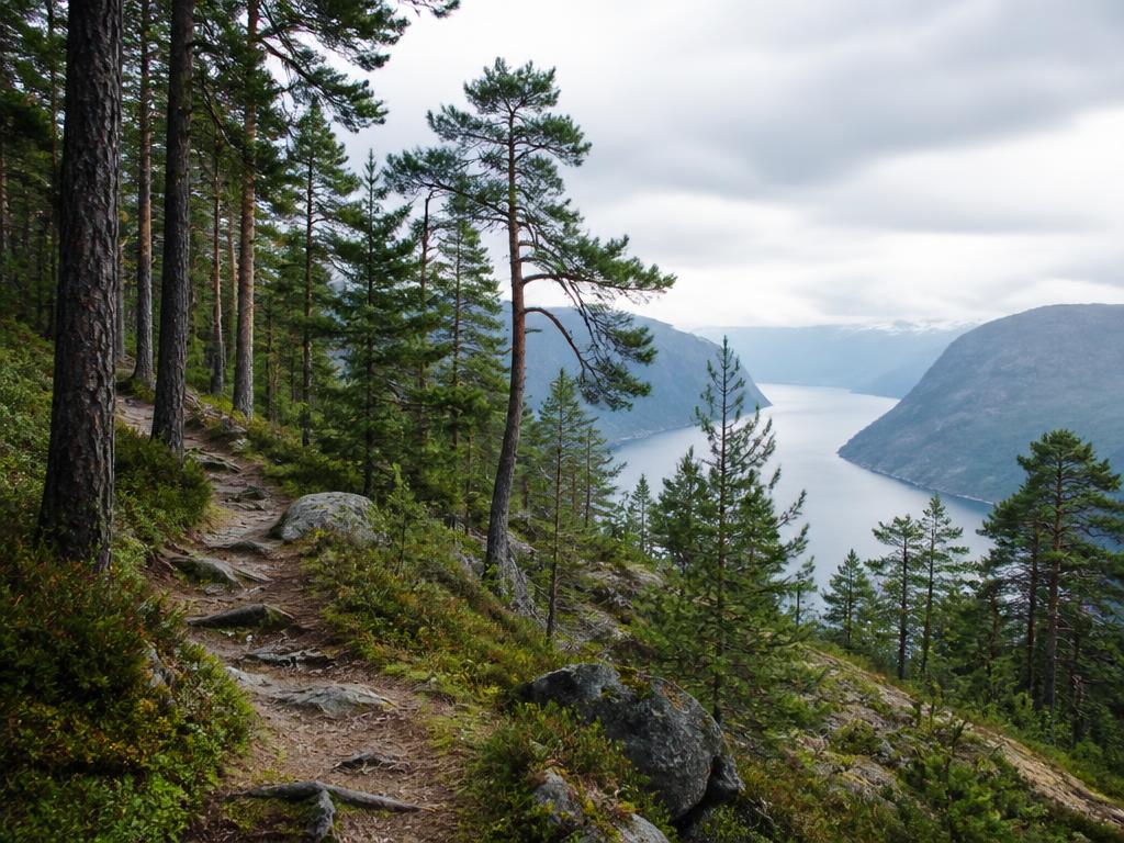 Skogssti med utsikt over fjorden
